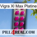 Vigra Xl Max Platinum 09